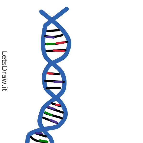 How To Draw Dna Cqgdioon Png Letsdrawit