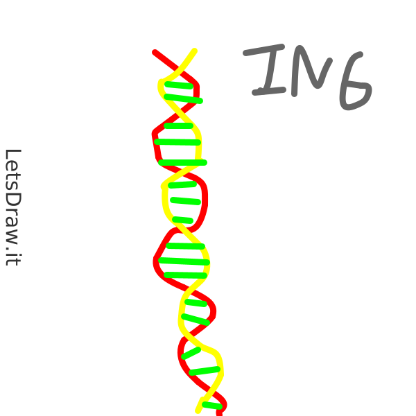 How To Draw DNA 3g1jek7s6 Png LetsDrawIt