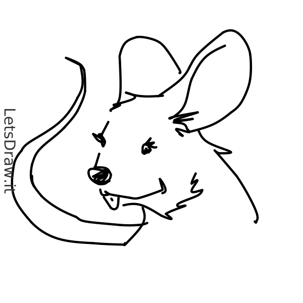 How To Draw Mouse 3y95niata Png LetsDrawIt