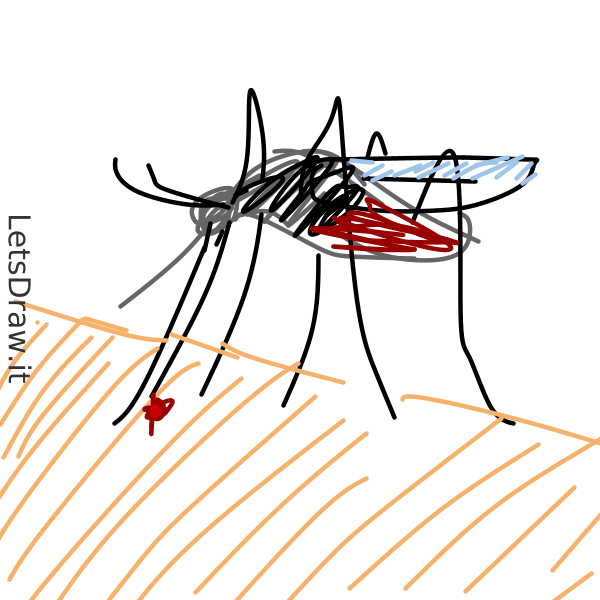 How To Draw Mosquito Katgdok Png Letsdrawit