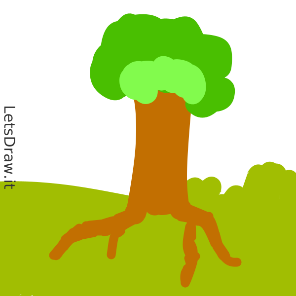 How To Draw Root 5e4tkcnha Png LetsDrawIt