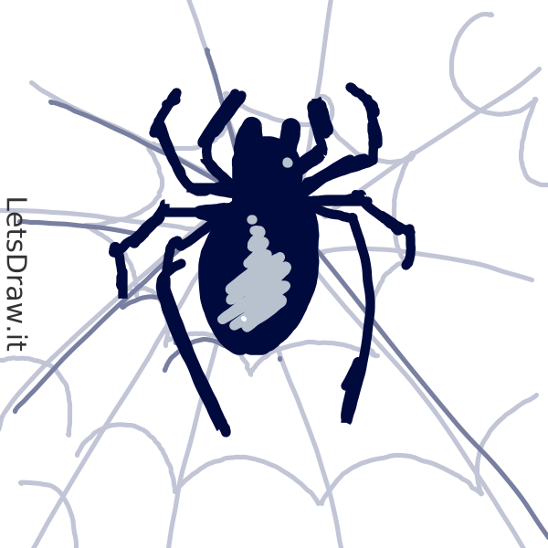 How To Draw Spiderweb 8rq8mud7x Png LetsDrawIt