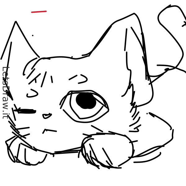 How To Draw Kitten Atu Nc Mz Png Letsdrawit