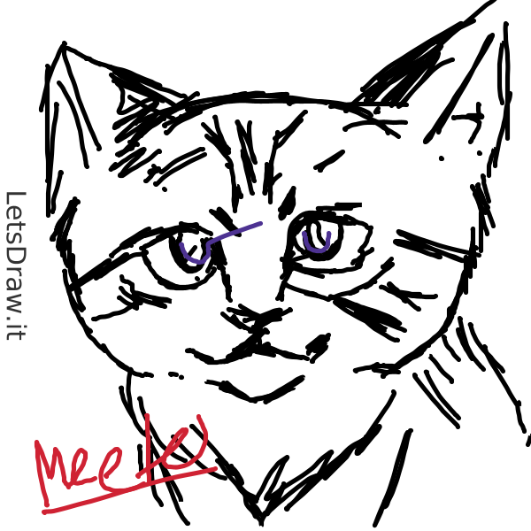 How To Draw Kitten Cjezeheoq Png LetsDrawIt