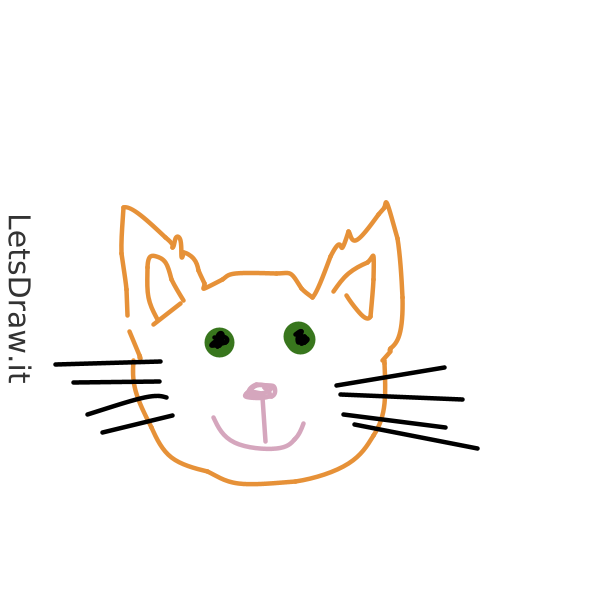 How To Draw Kitten Dii6bje4r Png LetsDrawIt