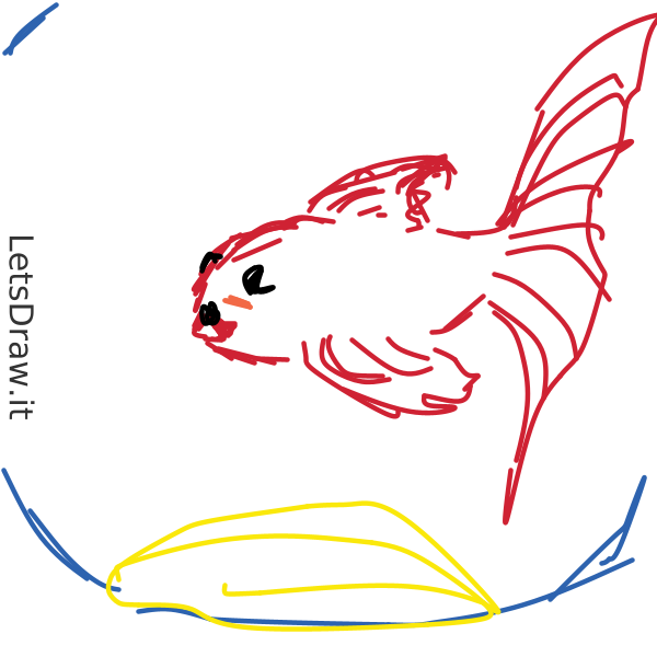 How To Draw Gold Fish Hm3nbw5j4 Png LetsDrawIt