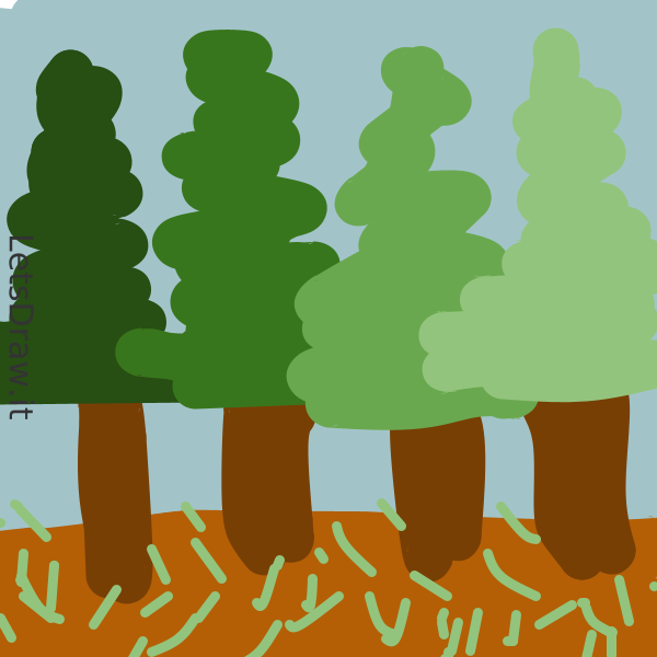 How To Draw Trees T4fx8d1bq Png LetsDrawIt