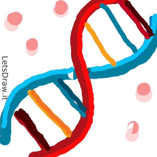 How To Draw Dna Ttritgmpi Png Letsdrawit