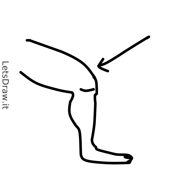 How To Draw Knee   146nkodab.png   Letsdrawit