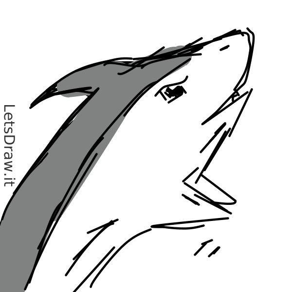 How to draw shark / 15pad1f8y.png / LetsDrawIt