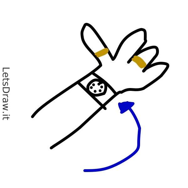 How to draw wrist / 18f6mdg9x.png / LetsDrawIt