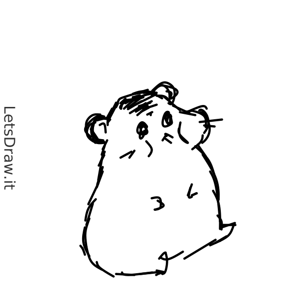 How to draw hamster / 193rm16n5.png / LetsDrawIt