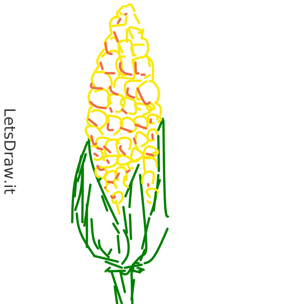 How to draw corn / 1ab9nt7xn.png / LetsDrawIt