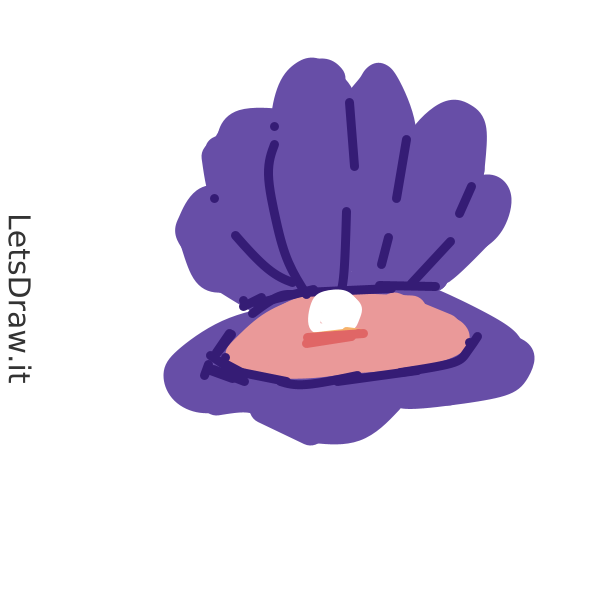 How to draw clam / 1gf58mz1u.png / LetsDrawIt