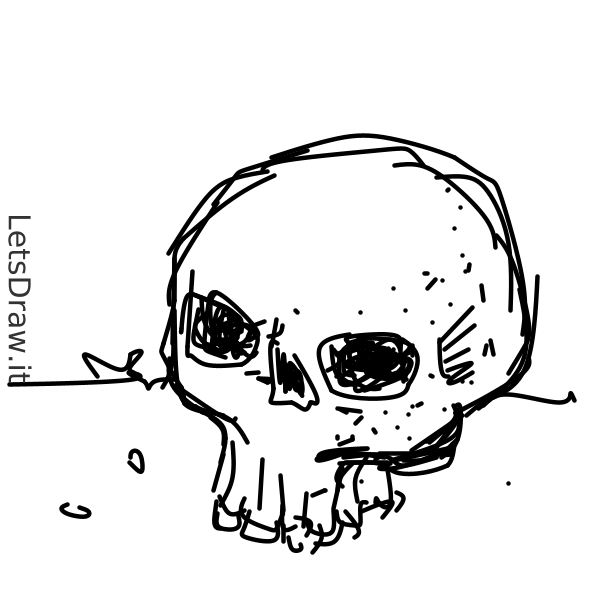 How to draw skull / 1h1hdctfm.png / LetsDrawIt