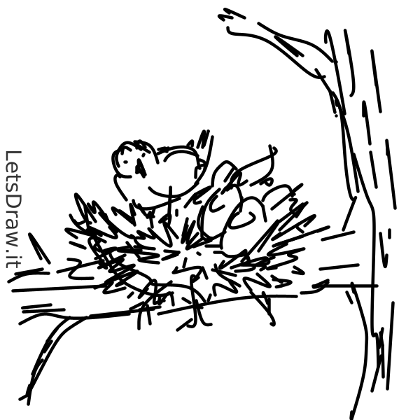 How to draw bird’s nest / 1jqbe35cf.png / LetsDrawIt