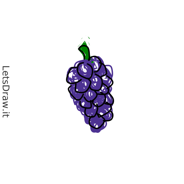 How to draw Grape / 1snbbrag9.png / LetsDrawIt