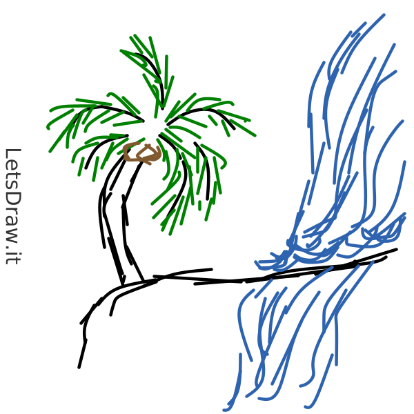 How to draw paradise / 1xcpaqhn png / LetsDrawIt