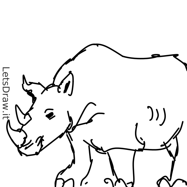 How to draw rhinoceros / 1znwp5m69.png / LetsDrawIt