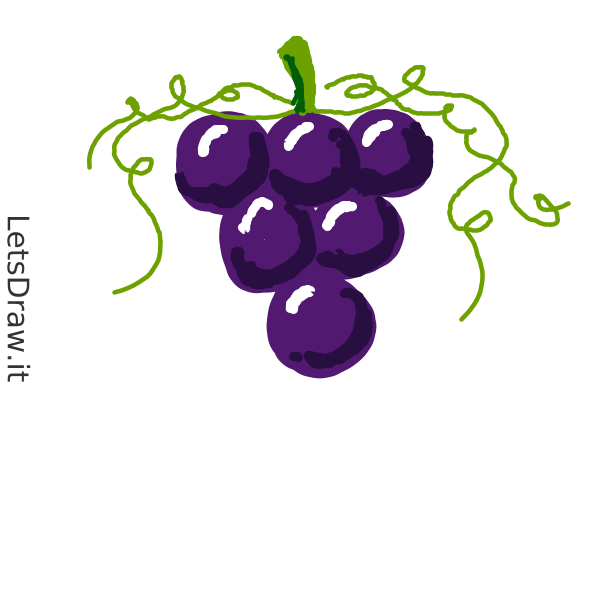 How to draw Grape / 3cm6gcker.png / LetsDrawIt