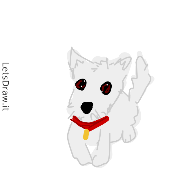 How to draw dog collar / 3fs9ggcbd.png / LetsDrawIt