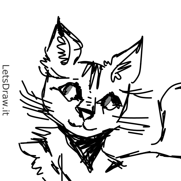 How To Draw Cat 3g8a9qdppng Letsdrawit 