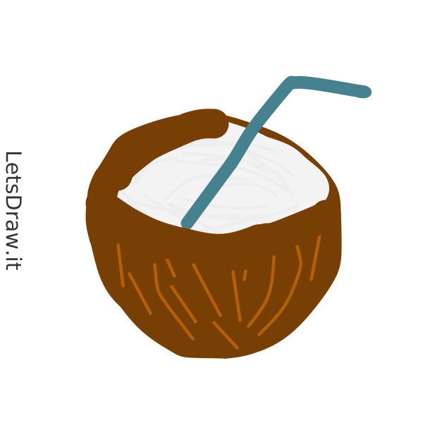 How to draw coconut / 3u86fdo8a.png / LetsDrawIt