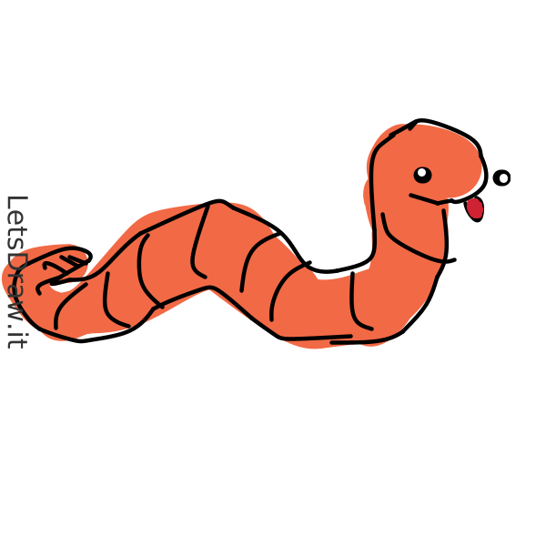 How to draw worm / 3wtsdjyf.png / LetsDrawIt