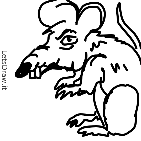 Drawed Rats How to draw rat / 41odchkif.png / LetsDrawIt