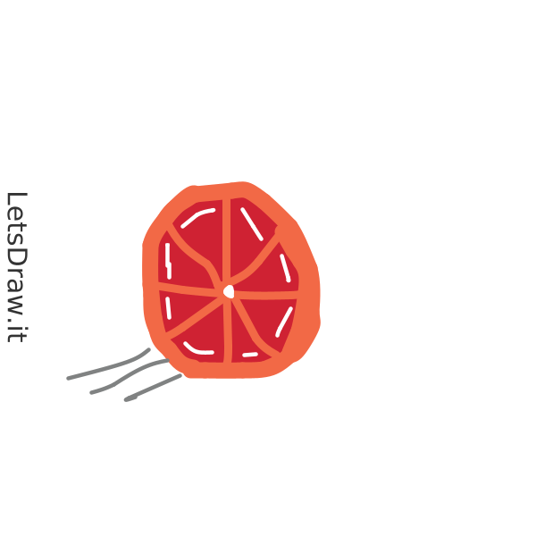 How to draw grapefruit / 41to73yf.png / LetsDrawIt