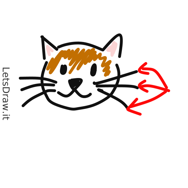 How to draw cat whiskers / 49z6jtk58.png / LetsDrawIt