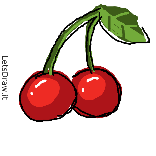 How to draw cherry / 4aefoz7om.png / LetsDrawIt