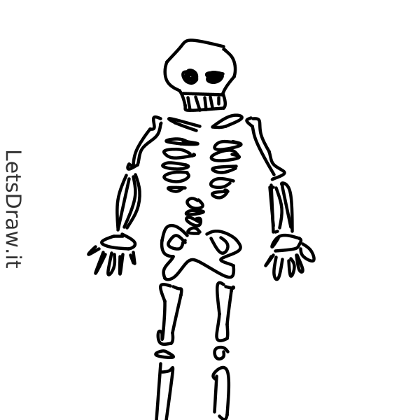 How to draw bone / 4h31bbhhu.png / LetsDrawIt