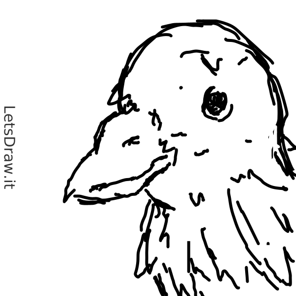 How to draw beak / 4jpwqjozq.png / LetsDrawIt