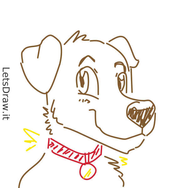 How to draw dog collar / 4sr8d3ndo.png / LetsDrawIt