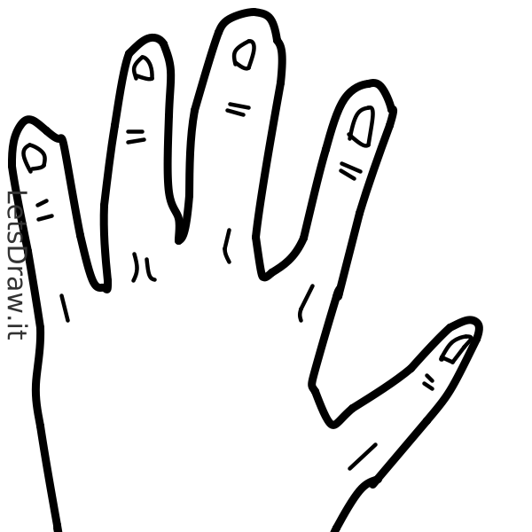 How to draw fingers / 4y3jskdc.png / LetsDrawIt