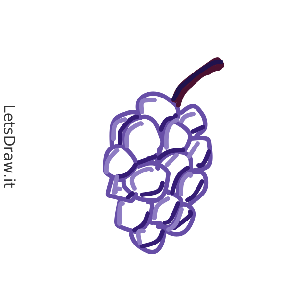 How to draw Grape / 5dfgfomn1.png / LetsDrawIt