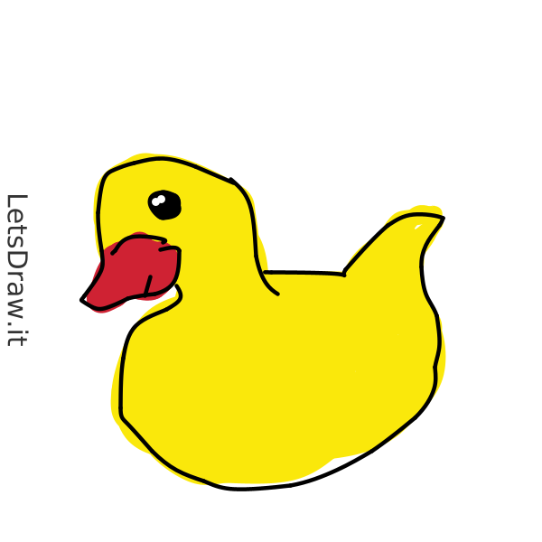 How to draw duck / 5ihtuip9.png / LetsDrawIt