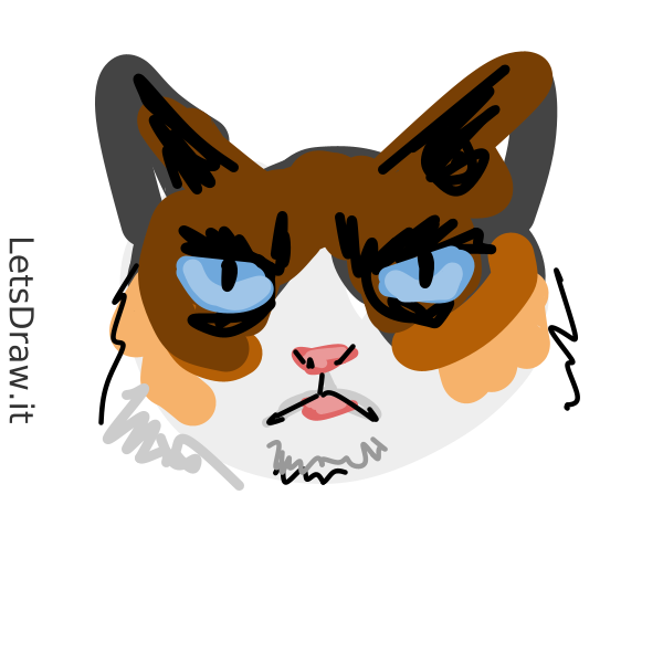 How To Draw Grumpy Cat Letsdrawit 