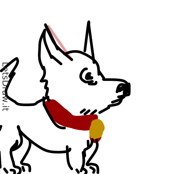 How to draw dog collar / 5opsgqg3f.png / LetsDrawIt