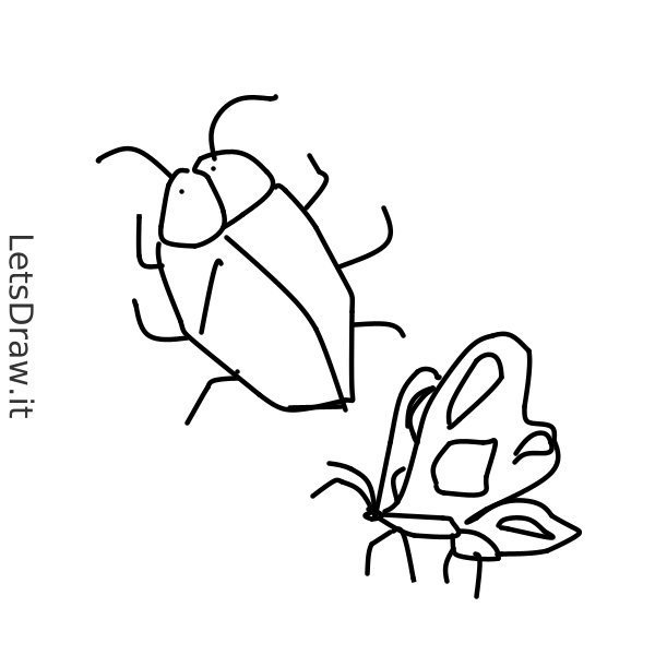 How to draw Bugs / 5rrfrhxyg.png / LetsDrawIt