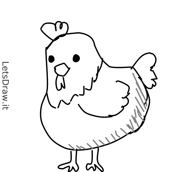 How to draw chicken / 5ui8nrftd.png / LetsDrawIt