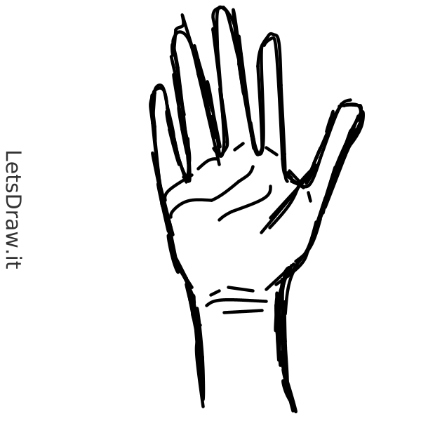 How to draw wrist / LetsDrawIt