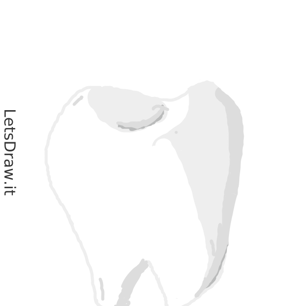 Precise Tooth Drawing How to draw tooth / 6acut5gmz.png / LetsDrawIt