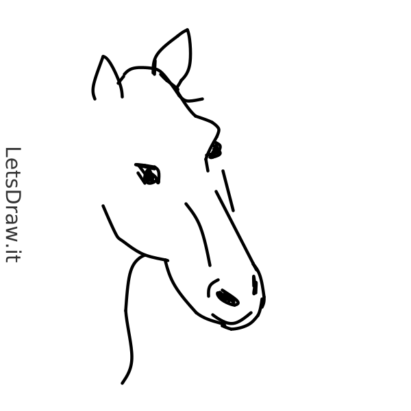 How to draw horses / 6in1psd3g.png / LetsDrawIt