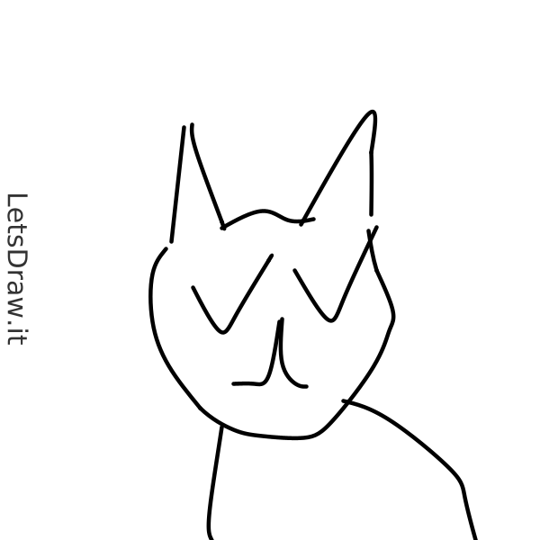 How to draw cat whiskers / 6py4m37y3.png / LetsDrawIt