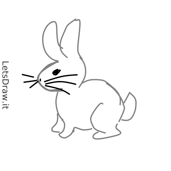 How To Draw Bunny   73zob1qu8.png   Letsdrawit