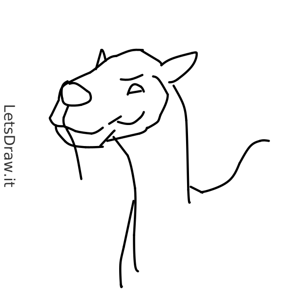 How to draw camel / 76eddzu6c.png / LetsDrawIt