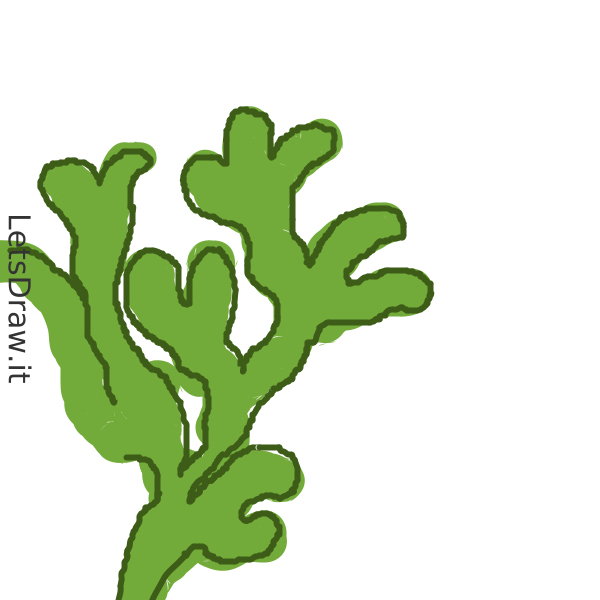 How to draw seaweed / LetsDrawIt