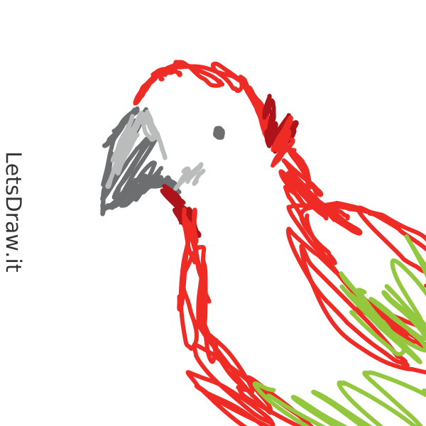 Parrot Draw Computer How to draw parrot / 7bgnxmg6r.png / LetsDrawIt